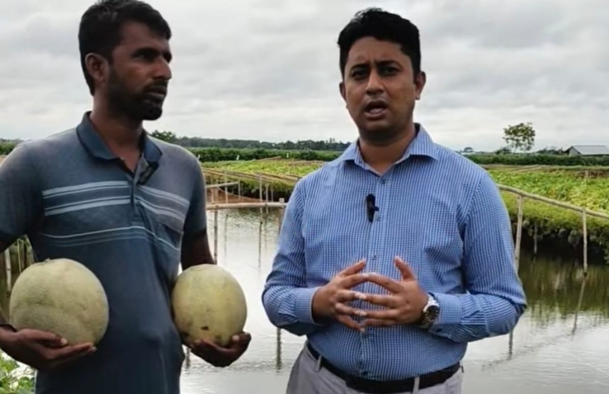 ডুমুরিয়ায় বাণিজ্যিকভাবে চাষ হচ্ছে মরুভূমির ফল সাম্মাম