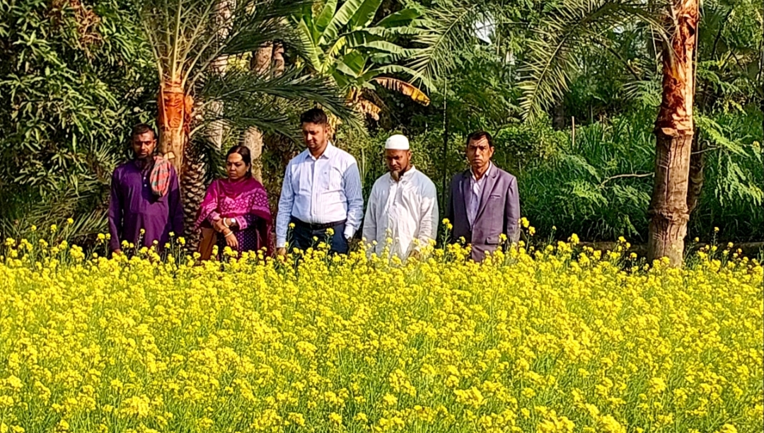 ডুমুরিয়ায় সরিষার বাম্পার ফলন, কৃষকের মুখে হাসি