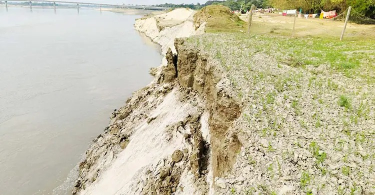 কুমারখালীতে গড়াই নদীর তীব্র ভাঙন: বিলীন ৩০ বিঘা ফসলি জমি, আতঙ্কে ৩০০ পরিবার