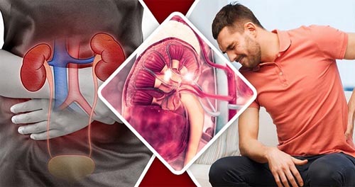 আপনার কিডনি নীরবে নষ্ট হয়ে যাচ্ছে না তো!