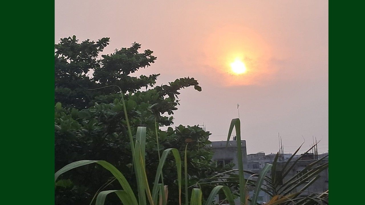 ক্ষণস্থায়ী জীবন ও অন্তহীন মোহ: একজন মুসাফিরের গল্প