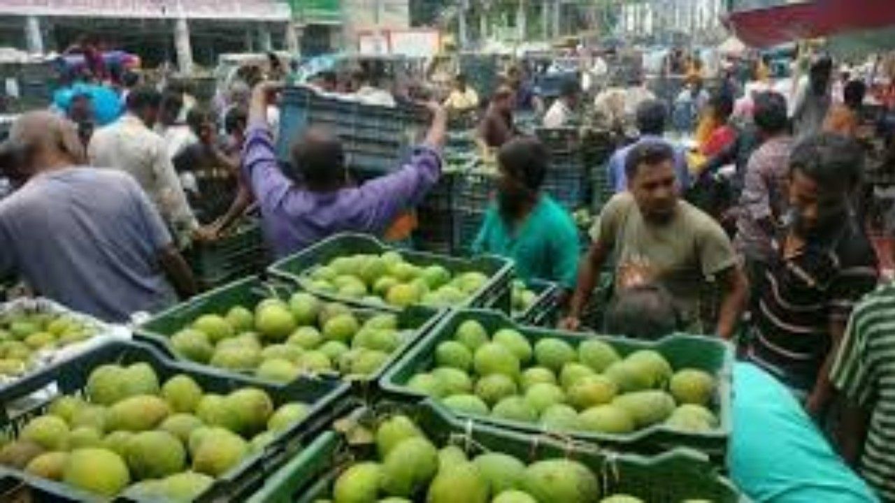 ঐতিহ্যবাহী হাঁড়িভাঙা আমের বাজারজাত শুরু
