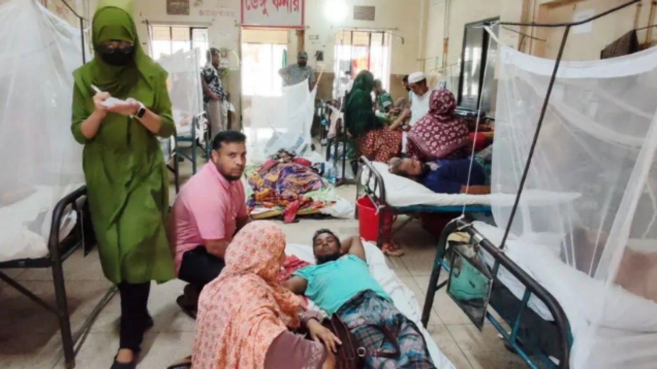 বরিশাল বিভাগে বাড়ছে ডেঙ্গু: আক্রান্ত ৬,৫৬০, মৃত্যু ৯  
