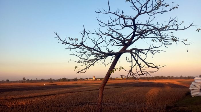 আবহাওয়া তাপমাত্রা